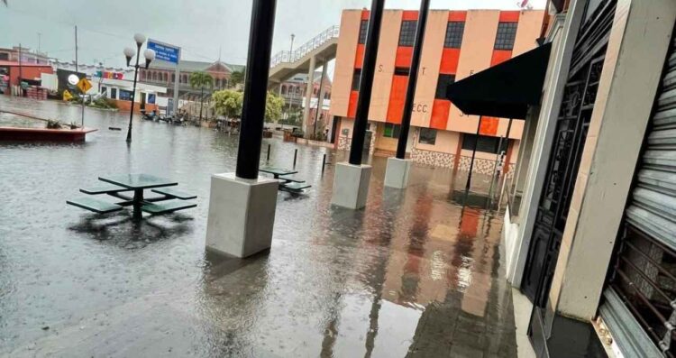 locatarios mercados Tampico Dren Pluvial