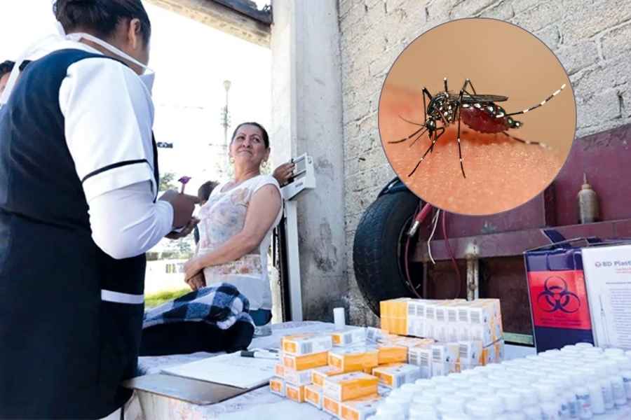 México acumula más de 9 mil casos de dengue en 2025
