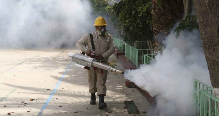 México acumula más de 9 mil casos de dengue en 2025