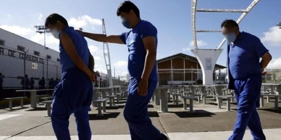 PAN posibles riesgos CNPP