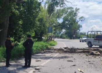 Rama cae vehículo en Padilla
