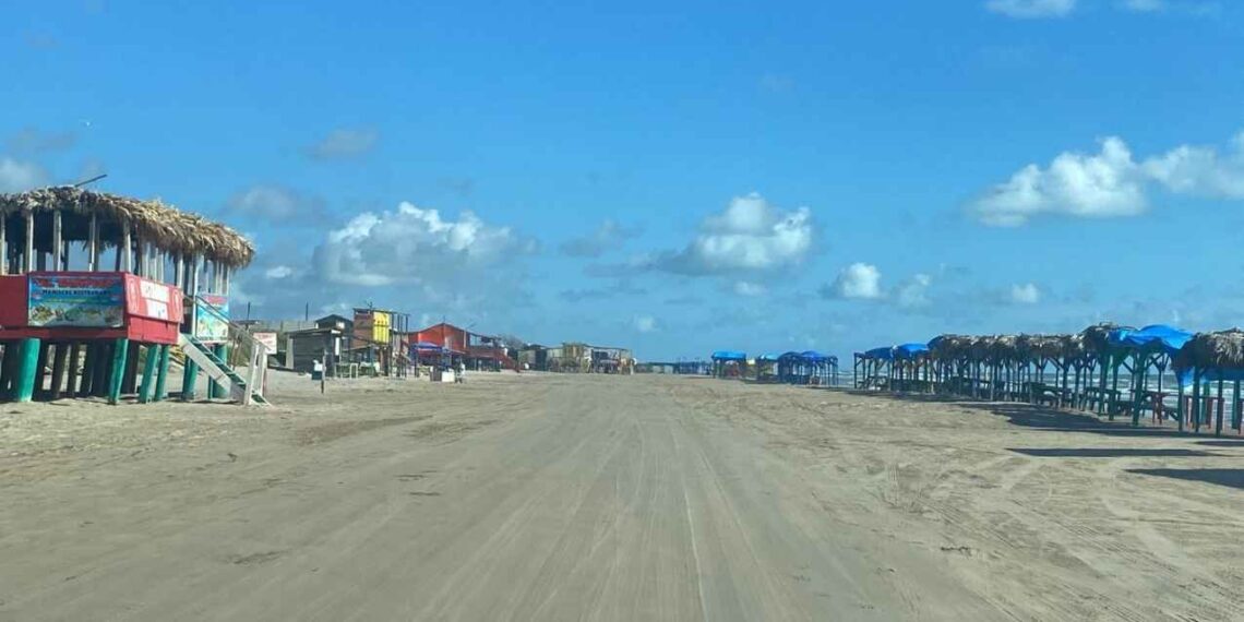 no visitar Playa Bagdad influenza aviar