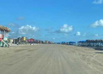 no visitar Playa Bagdad influenza aviar