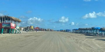 no visitar Playa Bagdad influenza aviar