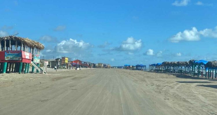 no visitar Playa Bagdad influenza aviar