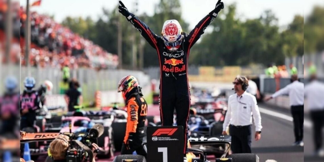 Red Bull 2026 piloto