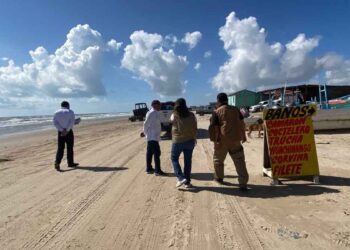 Refuerzan vigilancia sanitaria por influenza aviar en Playa Bagdad, Matamoros
