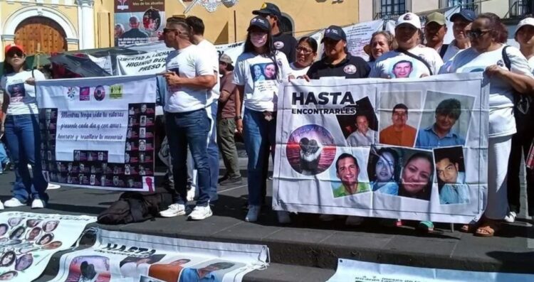 Senado integración Búsqueda de Personas
