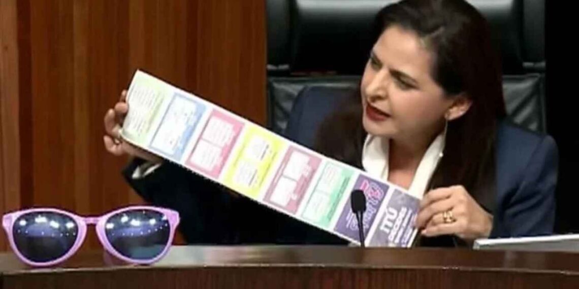 TEPJF discusión acordeones