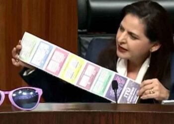 TEPJF discusión acordeones