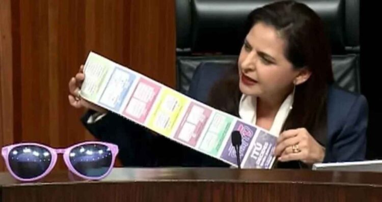 TEPJF discusión acordeones