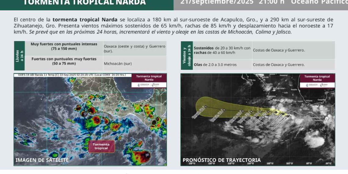 Tormenta Tropical 'Narda'