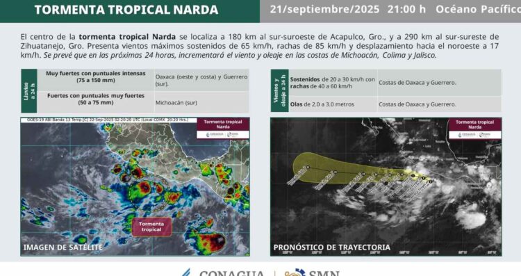 Tormenta Tropical 'Narda'