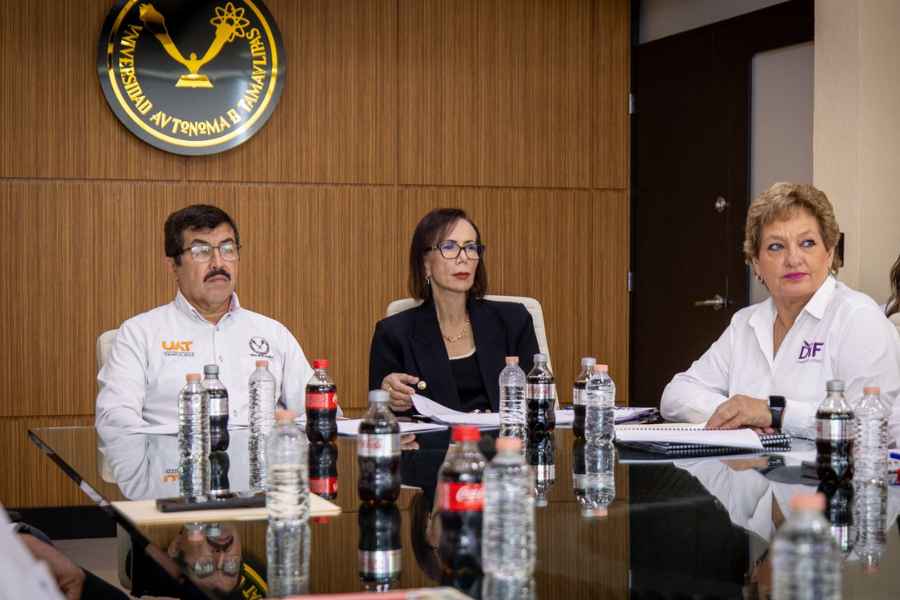 UAT y DIF estufas ecológicas