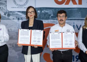 UAT y DIF estufas ecológicas