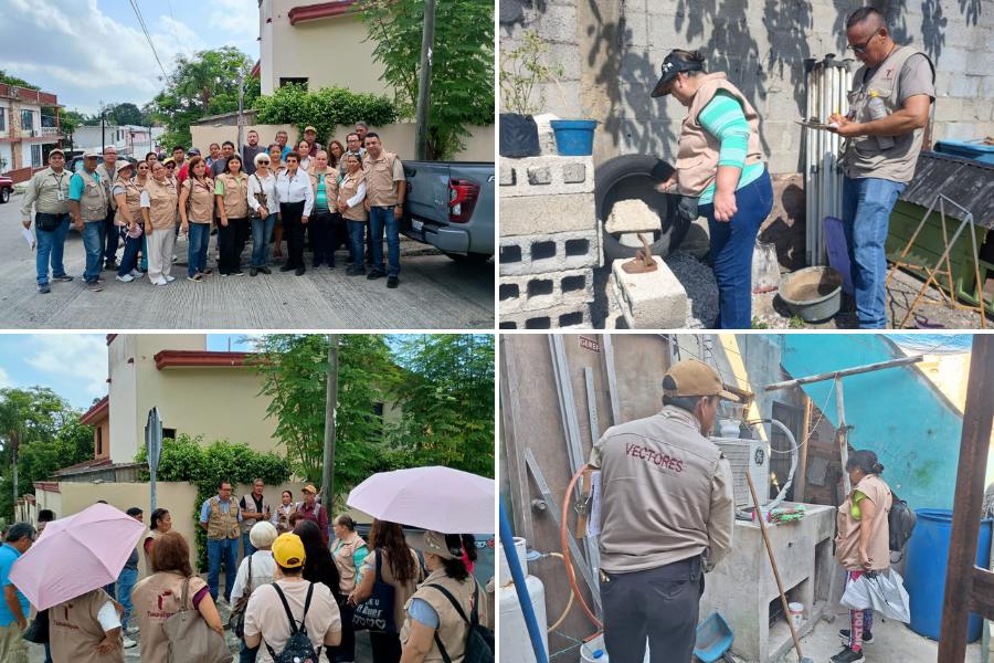 acciones de prevención contra el dengue en tampico