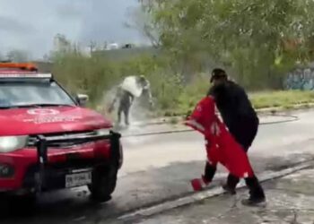 ataque abejas en Linares