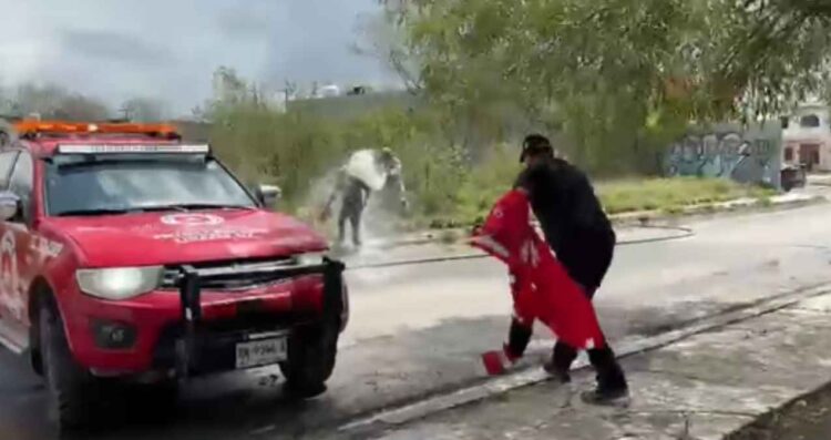 ataque abejas en Linares