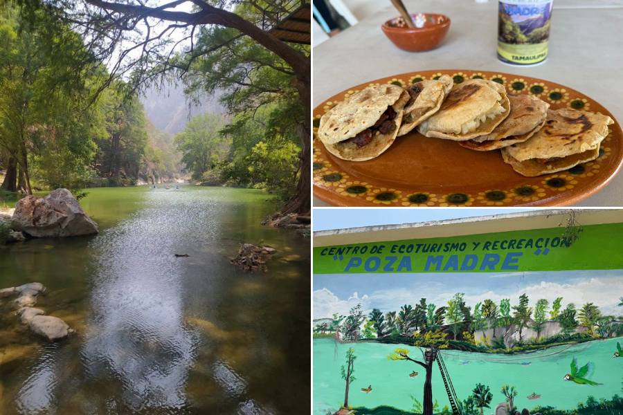 cabañas en poza madre de ocampo