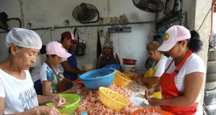 censo para apoyos alimentarios Tampico