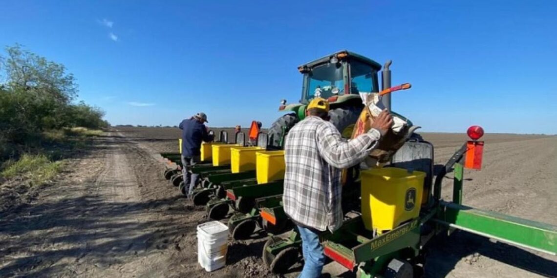 ciclo otoño invierno en Tamaulipas