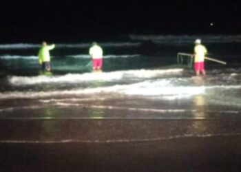 cocodrilo en Playa Miramar