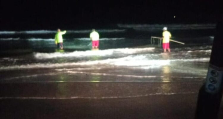 cocodrilo en Playa Miramar