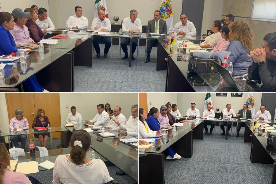colectivos de búsqueda de personas en tamaulipas