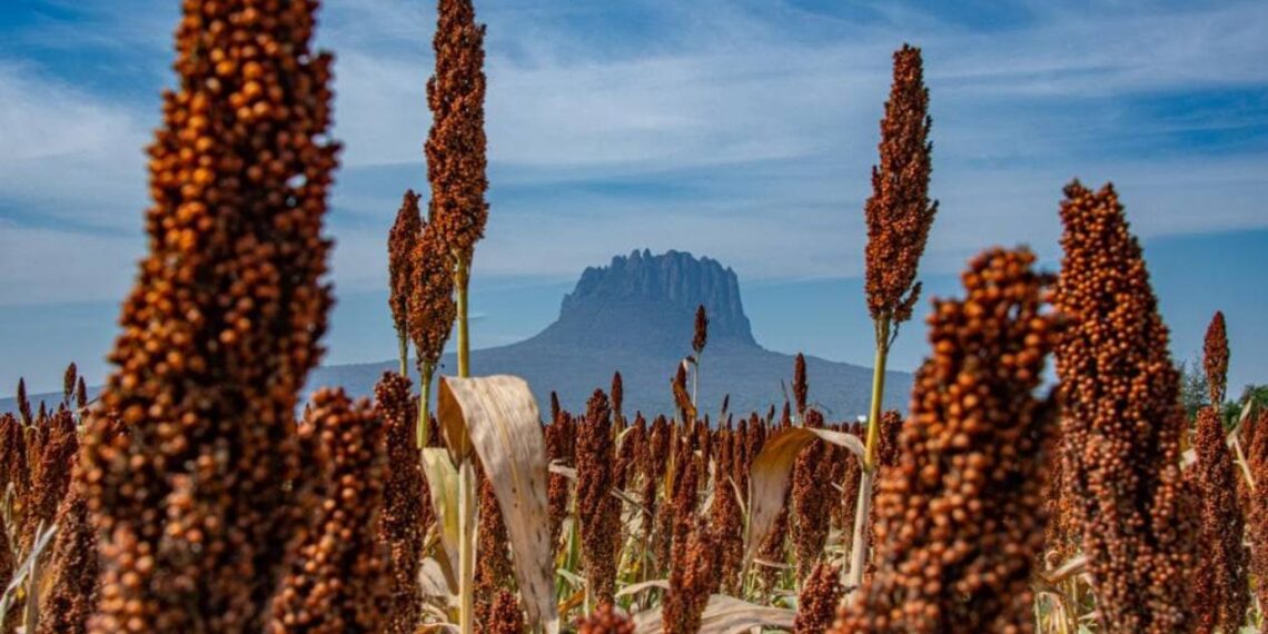 concurso de fotografía esto es tamaulipas