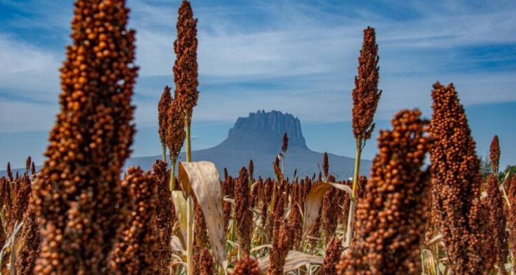 concurso de fotografía esto es tamaulipas