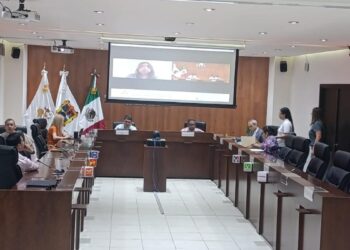 consejeros del IETAM