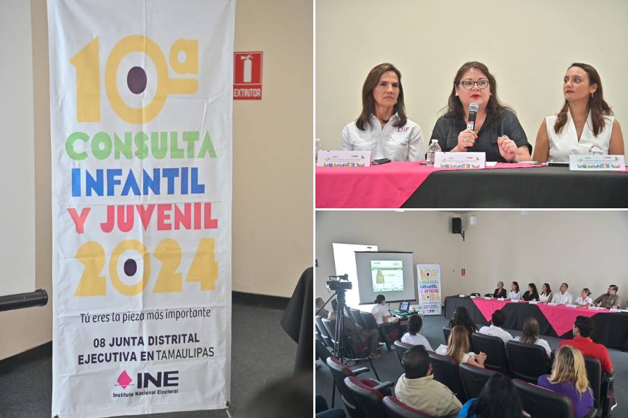 consulta infantil y juvenil ine