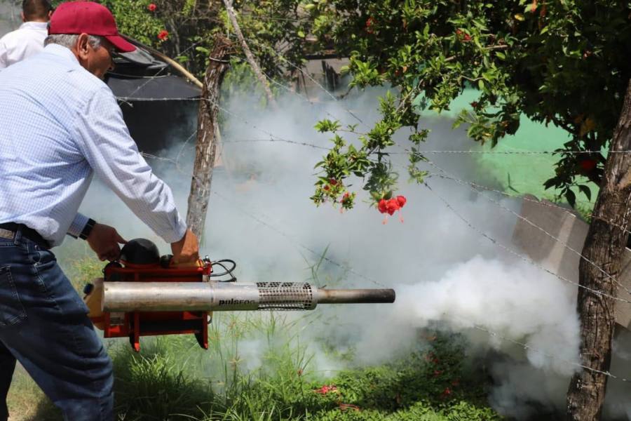 contagios de dengue en sur de tamaulipas