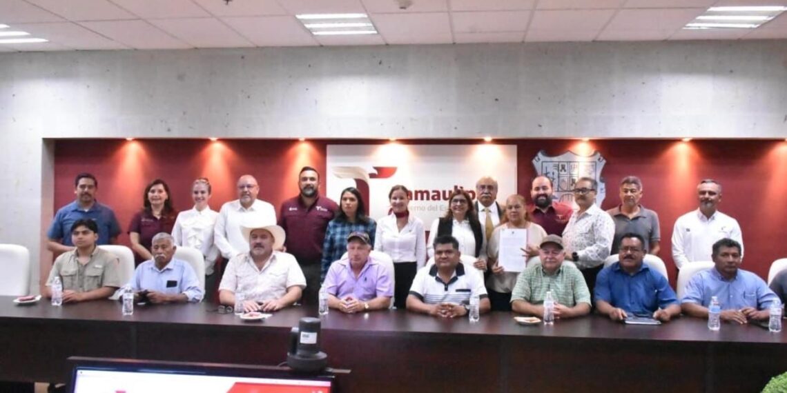 cooperativa ecoturismo puerto paraíso en victoria