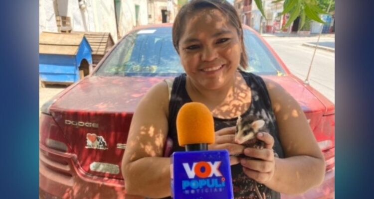 denuncia de maltrato animal Tamaulipas