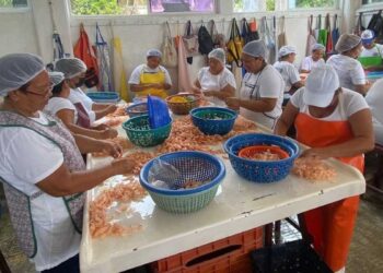 desalojo ASIPONA despicadoras Tampico