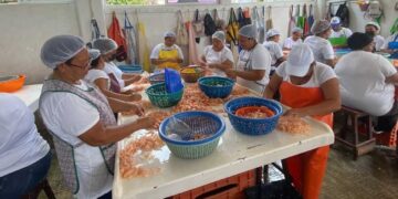 desalojo ASIPONA despicadoras Tampico