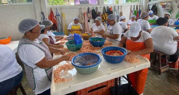 desalojo ASIPONA despicadoras Tampico