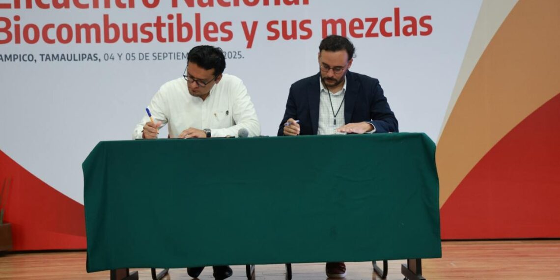 desarrollo de biocombustibles en Tamaulipas