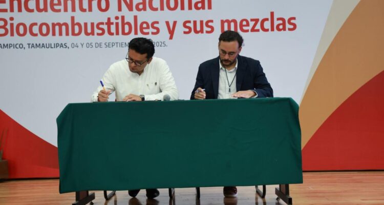 desarrollo de biocombustibles en Tamaulipas
