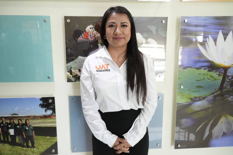 detección de tumores cerebrales en uat