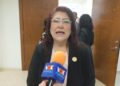diputadas de partido verde en tamaulipas
