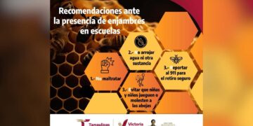 enjambres de abejas en escuelas de Victoria