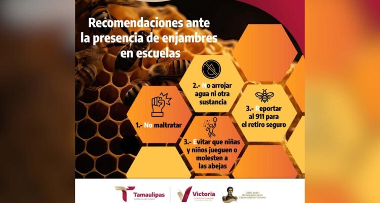 enjambres de abejas en escuelas de Victoria