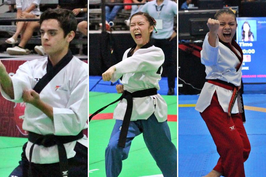 festival mexicano de taekwondo