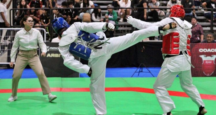 festival mexicano de taekwondo