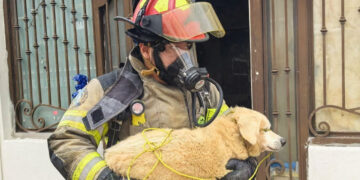 Incendio en vivienda de Monterrey