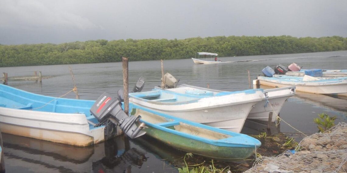 impacto de SpaceX en pesca tamaulipeca