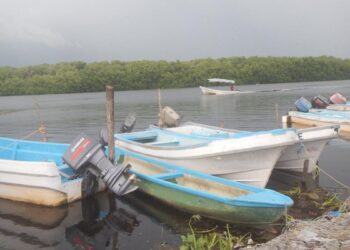 impacto de SpaceX en pesca tamaulipeca