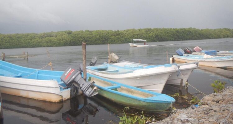 impacto de SpaceX en pesca tamaulipeca